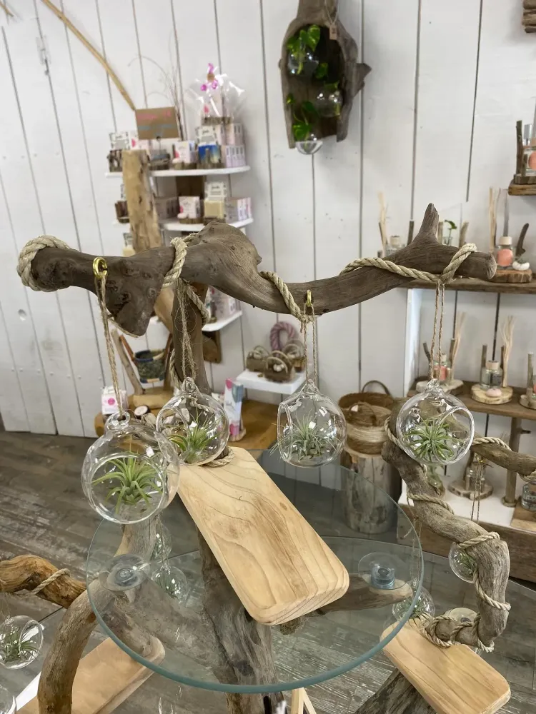 caboceane creations (8)